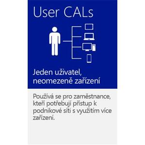 MS OEM Windows Server CAL 2019 EN 1pk 5 User CAL, nová licence; R18-05867