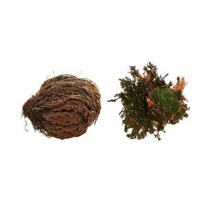 Lucky Reptile "Rose of Jericho" 50 g; FP-64210