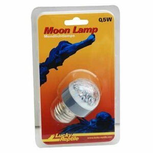 Lucky Reptile Moon Lamp; FP-63801