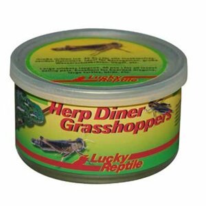 Lucky Reptile Herp Diner - sarančata 35g cca 50 středních; FP-67321