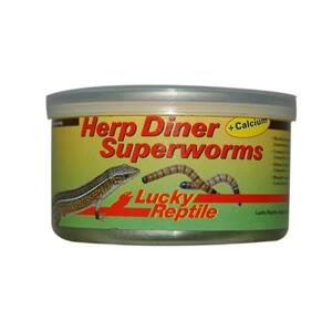 Lucky Reptile Herp Diner Superworms 35g; FP-67334