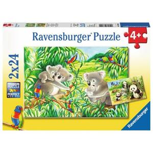 RAVENSBURGER Puzzle Koaly a pandy 2x24 dílků; 125377