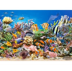 CASTORLAND Puzzle Barvy oceánu 260 dílků; 6925