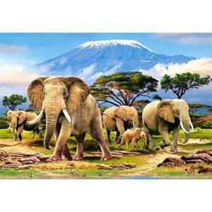 CASTORLAND Puzzle Ráno pod Kilimandžárem 1000 dílků; 111919