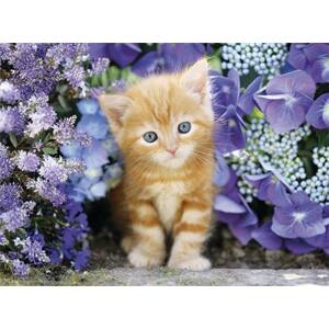 CLEMENTONI Puzzle Zrzavé kotě v květinách 500 dílků; 111774