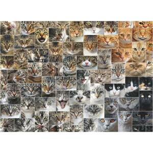 D-TOYS Puzzle Kočky 1000 dílků; 124398
