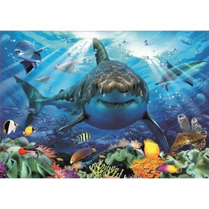 EDUCA Puzzle Bílý žralok 500 dílků; 134669