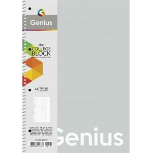 SHKOLYARYK Spirálový sešit "Genius Pastel", mix motivů, čtverečkovaný, A4, 80 listů, PP desky A4-08; SB806801K